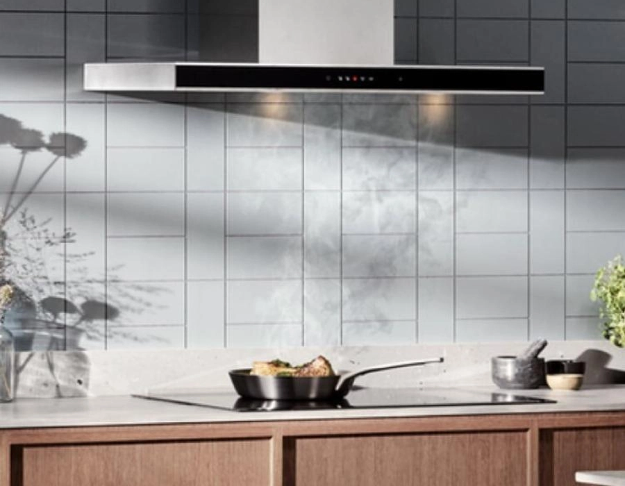 Electrolux páraelszívó